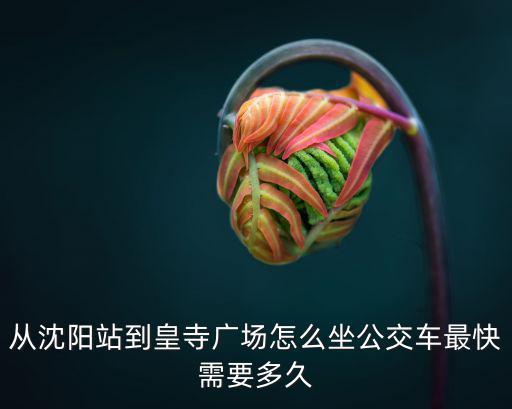 皇寺廣場，沈陽皇寺廣場和北中街哪個(gè)好