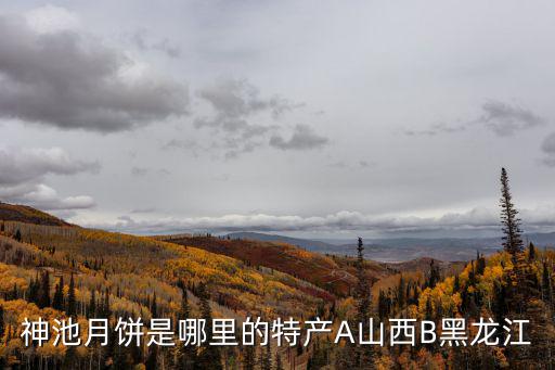 神池月餅是哪里的特產A山西B黑龍江