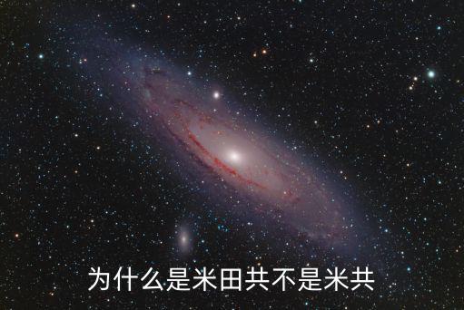 為什么是米田共不是米共