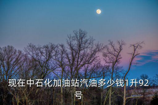 現在中石化加油站汽油多少錢1升92號