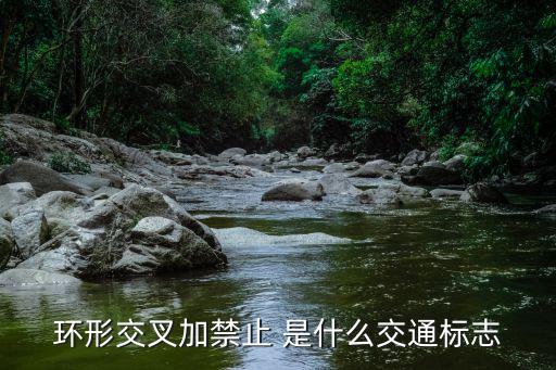 環形交叉路口標志，這個標志是何含義 A十字交叉路口預告 B互通式立體交叉預告 CY型