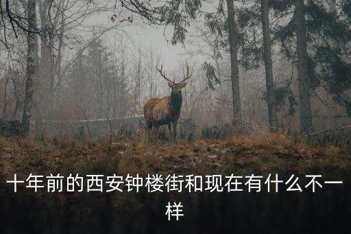鐘樓街，十年前的西安鐘樓街和現在有什么不一樣