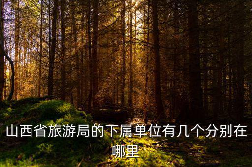 山西省旅游局的下屬單位有幾個分別在哪里