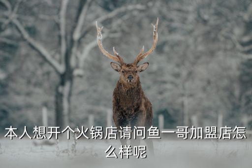 本人想開個火鍋店請問魚一哥加盟店怎么樣呢