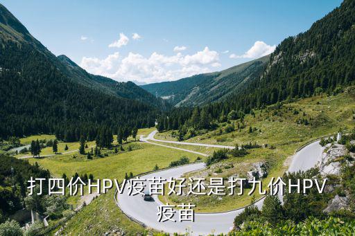4價hpv疫苗，打四價HPV疫苗好還是打九價HPV疫苗