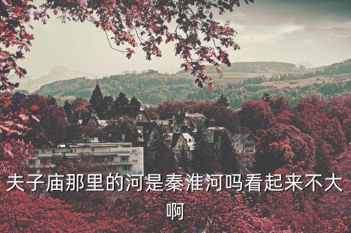 夫子廟那里的河是秦淮河嗎看起來不大啊