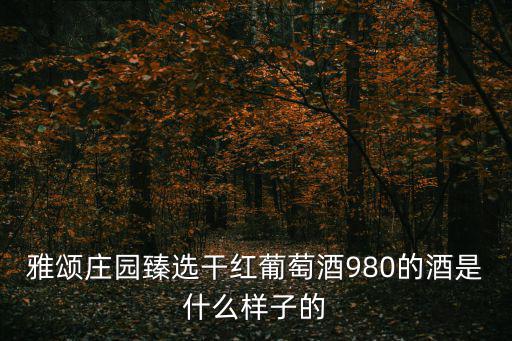 雅頌莊園臻選干紅葡萄酒980的酒是什么樣子的