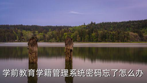 學前教育學籍管理系統密碼忘了怎么辦