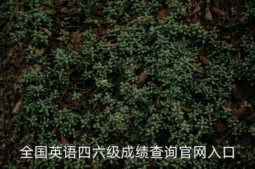 四級成績查詢入口，全國英語四六級成績查詢官網入口