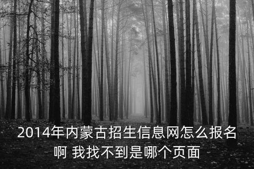招生報名系統，2014年內蒙古招生信息網怎么報名啊 我找不到是哪個頁面