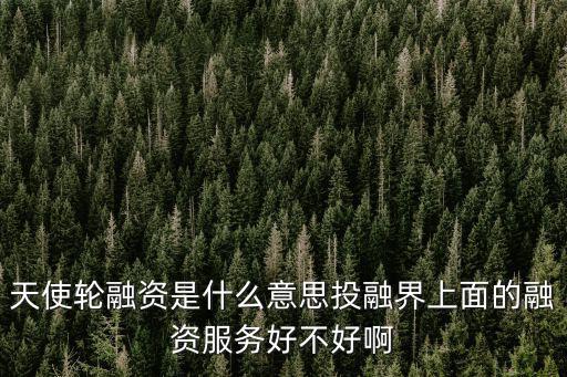 天使輪融資是什么意思投融界上面的融資服務好不好啊