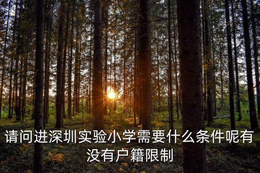 請(qǐng)問進(jìn)深圳實(shí)驗(yàn)小學(xué)需要什么條件呢有沒有戶籍限制
