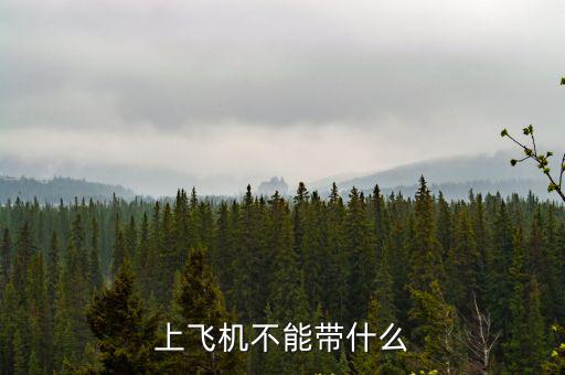 上飛機不能帶什么