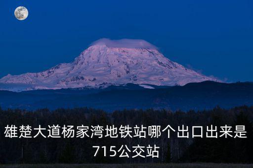 雄楚大道楊家灣地鐵站哪個出口出來是715公交站