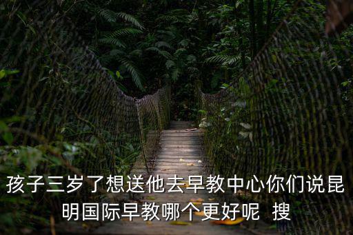 孩子三歲了想送他去早教中心你們說昆明國際早教哪個更好呢  搜