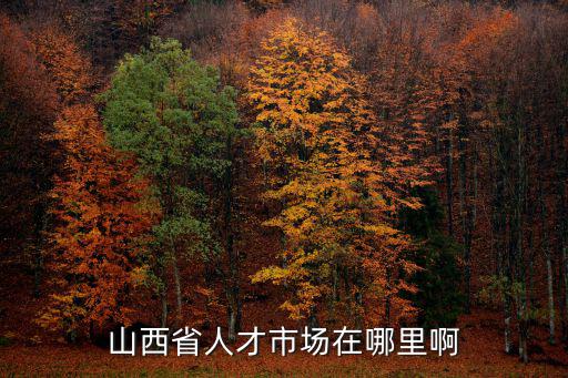 山西省人才市場在哪里啊