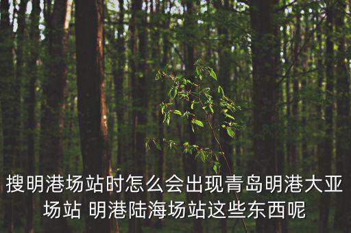 搜明港場站時怎么會出現青島明港大亞場站 明港陸海場站這些東西呢
