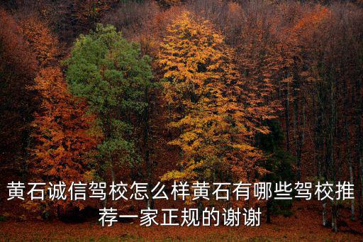 黃石誠信駕校怎么樣黃石有哪些駕校推薦一家正規的謝謝
