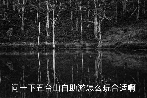 問一下五臺(tái)山自助游怎么玩合適啊