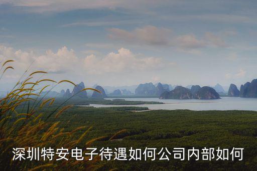 深圳特安，深圳市特安電子有限公司的資質(zhì)認(rèn)證信息