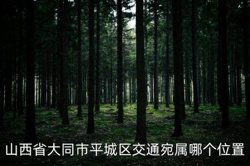 大同市平城區，山西省大同市平城區交通宛屬哪個位置