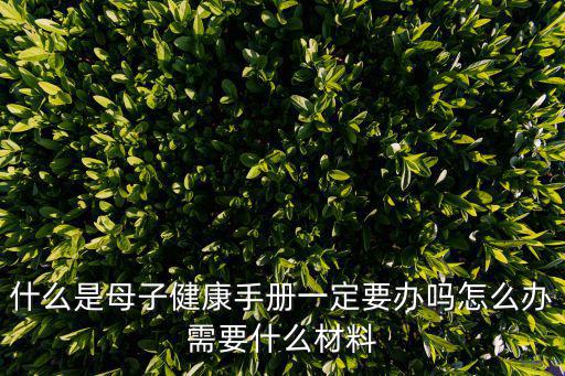什么是母子健康手冊一定要辦嗎怎么辦需要什么材料