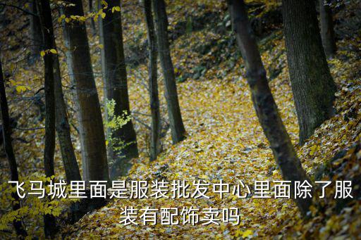 飛馬城里面是服裝批發中心里面除了服裝有配飾賣嗎