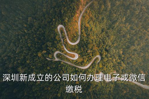 深圳新成立的公司如何辦理電子或微信繳稅