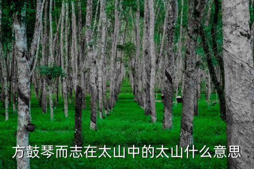 方鼓琴而志在太山中的太山什么意思