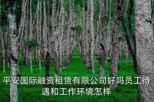 平安國際融資租賃有限公司好嗎員工待遇和工作環境怎樣