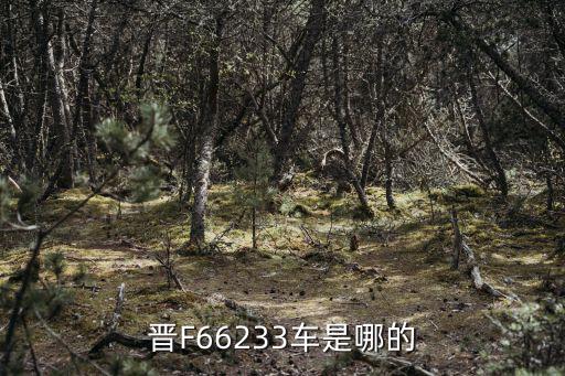 晉F66233車是哪的