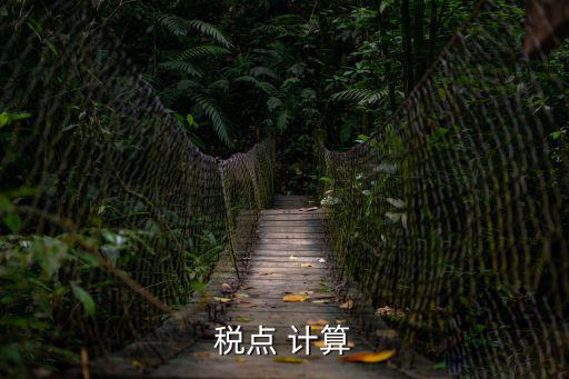 稅計(jì)算，怎樣計(jì)算稅點(diǎn)