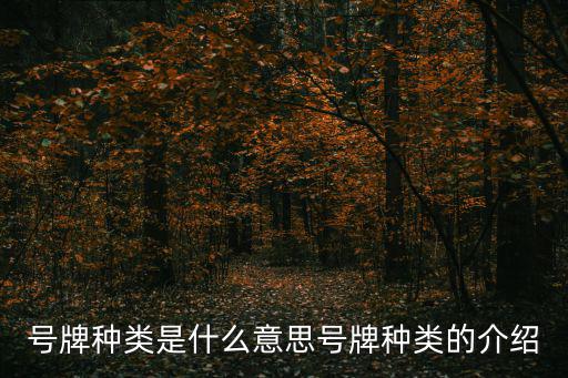 號牌種類是什么意思號牌種類的介紹