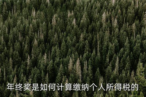 年終獎是如何計算繳納個人所得稅的