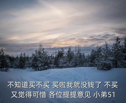不知道買不買 買啦我就沒錢了 不買又覺得可惜 各位提提意見 小弟51