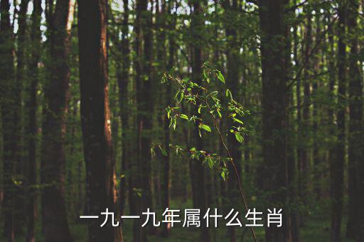 一九一九年屬什么生肖