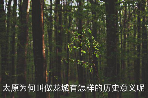 太原為何叫做龍城有怎樣的歷史意義呢