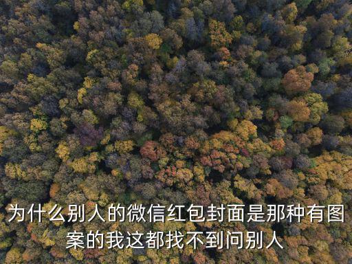 為什么別人的微信紅包封面是那種有圖案的我這都找不到問別人