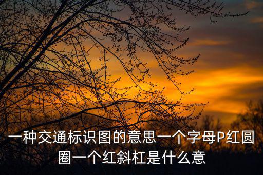 一種交通標識圖的意思一個字母P紅圓圈一個紅斜杠是什么意