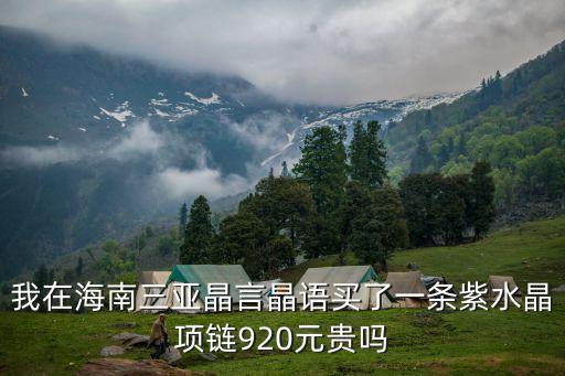 我在海南三亞晶言晶語買了一條紫水晶項鏈920元貴嗎