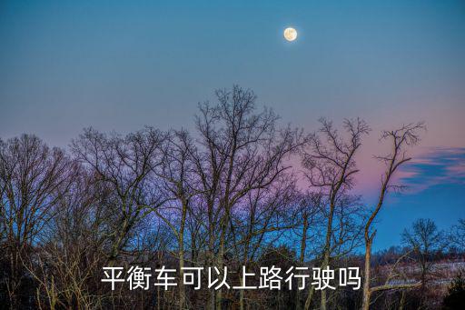 平衡車可以上路行駛嗎