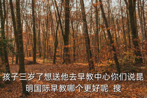 早教哪家好，昆明好點的早教機構是哪個官渡區的最好