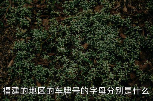 福建的地區(qū)的車牌號(hào)的字母分別是什么