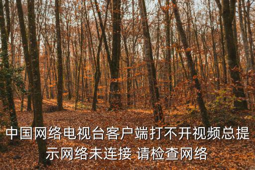 中國網絡電視臺客戶端打不開視頻總提示網絡未連接 請檢查網絡
