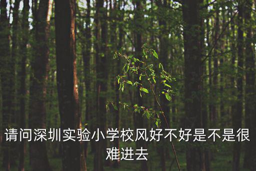 深圳實(shí)驗(yàn)小學(xué)，請(qǐng)問(wèn)進(jìn)深圳實(shí)驗(yàn)小學(xué)需要什么條件呢有沒(méi)有戶(hù)籍限制
