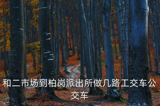 盛芳園，和二市場(chǎng)到柏崗派出所做幾路工交車公交車