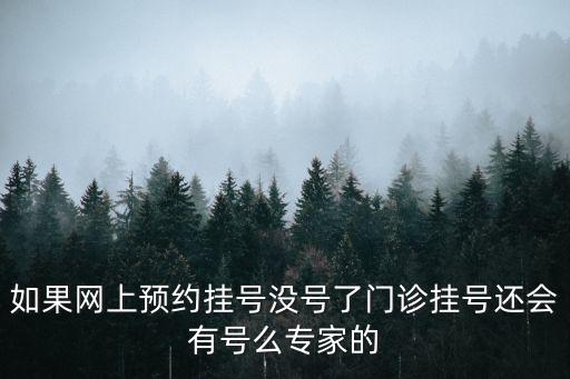 如果網上預約掛號沒號了門診掛號還會有號么專家的