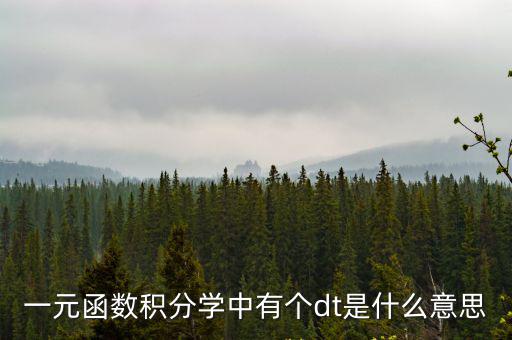 一元函數積分學中有個dt是什么意思