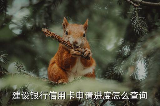 進度查詢，在建行申請房屋貸款怎么查詢審批進度