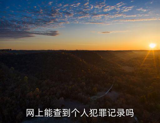 網上能查到個人犯罪記錄嗎
